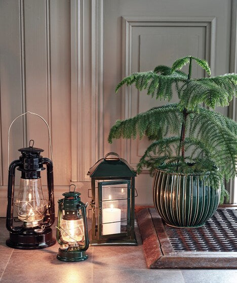 Strömshaga Laterne "Ture" waldgrün -L 19 x W 19 x H 35 cm