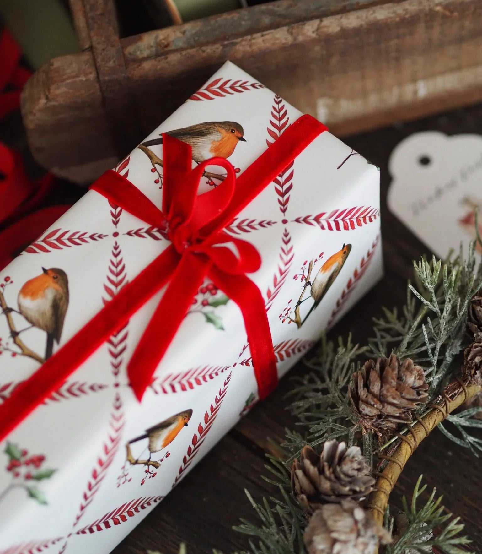 Frollein Lücke „Wintervogel“ Geschenkpapier - 1 Bogen - 50x70cm