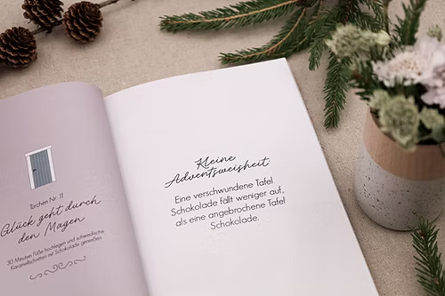 Verblühmeinnicht Buch - Weihnachten in Småland (der nachhaltige Adventskalender) 2025