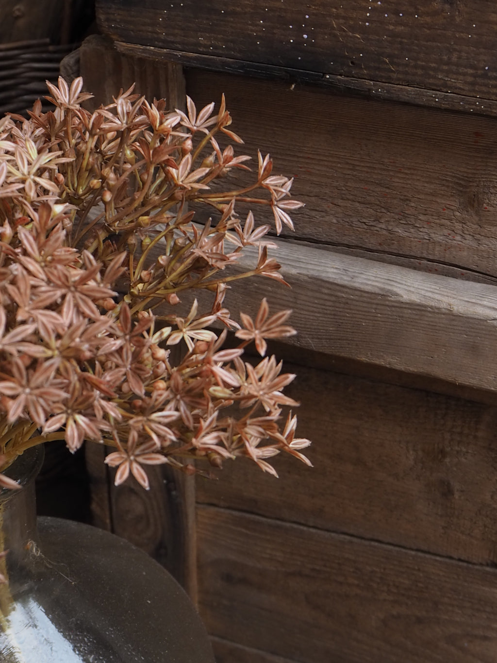 Kunstzweig Allium · Braun