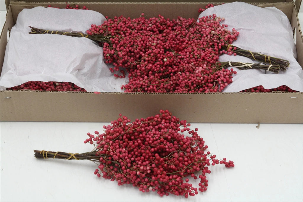 Pfefferbeeren-Bund in versch. Farben