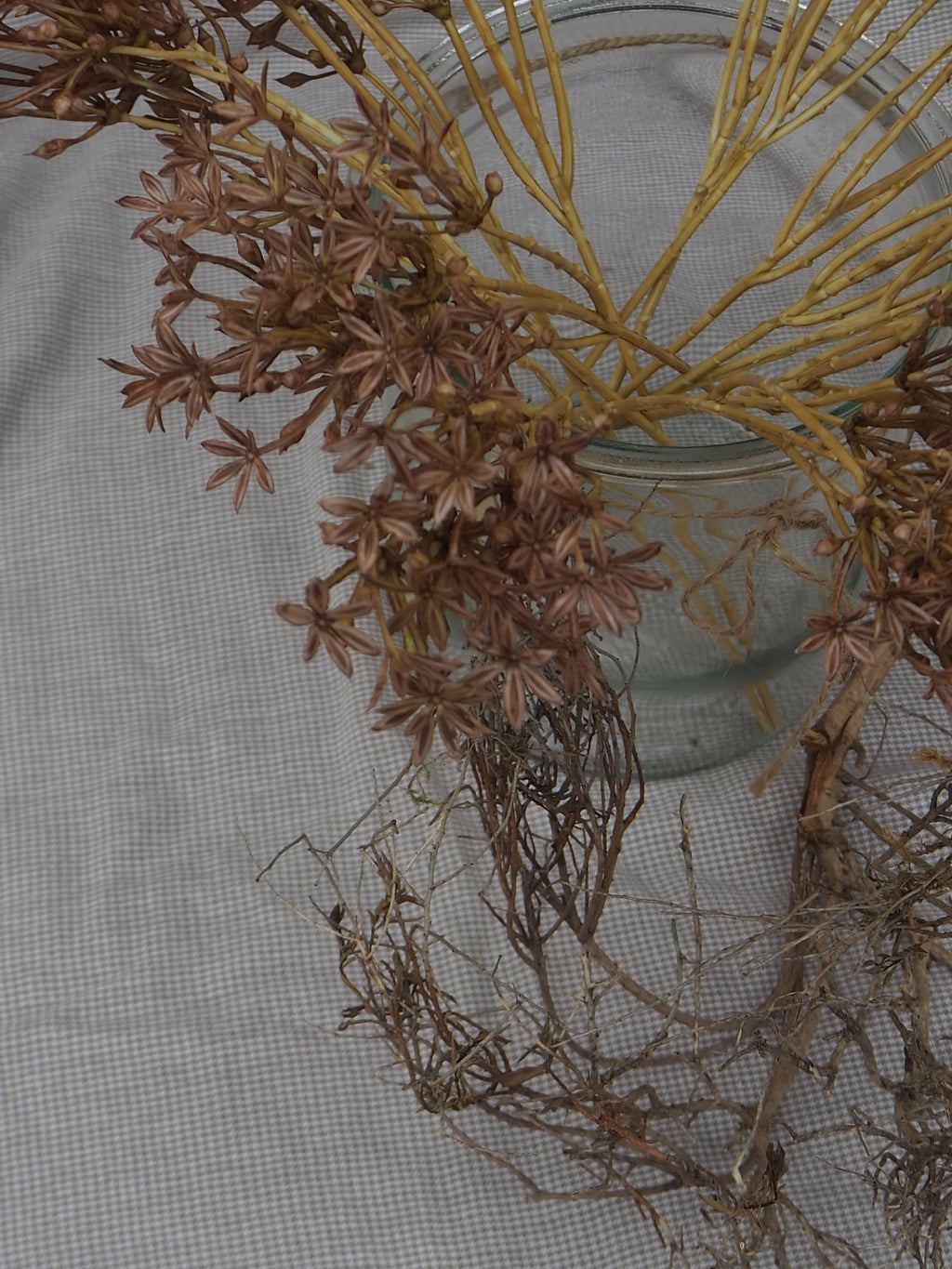Kunstzweig Allium · Braun