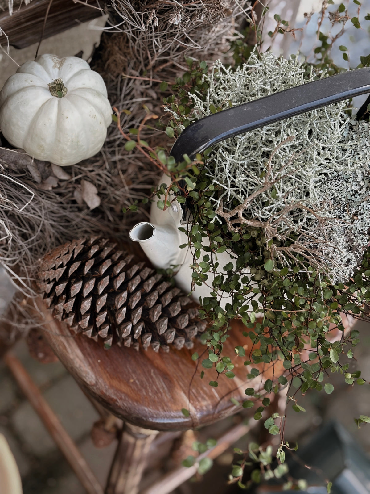 Baby Boo – weiße Zierkürbisse "Herbstkinder" · Ø ca. 10–12 cm