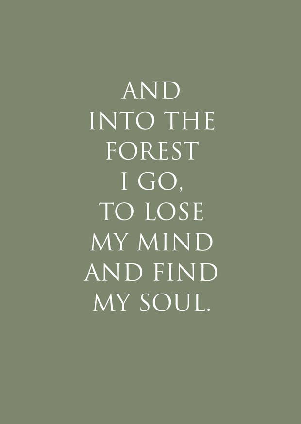Postkarte "And into the Forest I go…"