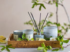 Bloomingville NO. 3 - Santal Fig Duft Diffuser