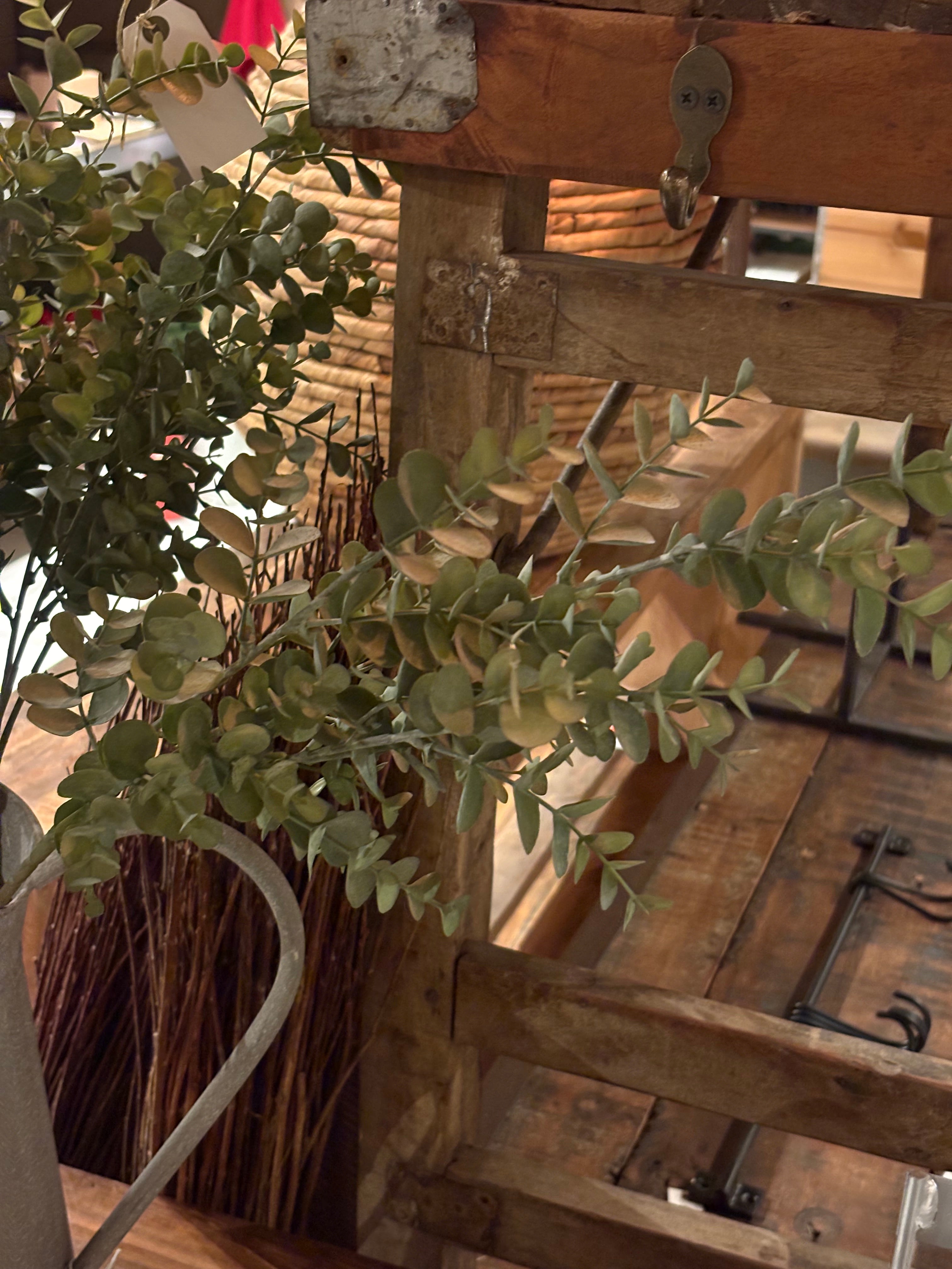 Eukalyptus Zweig, künstlich