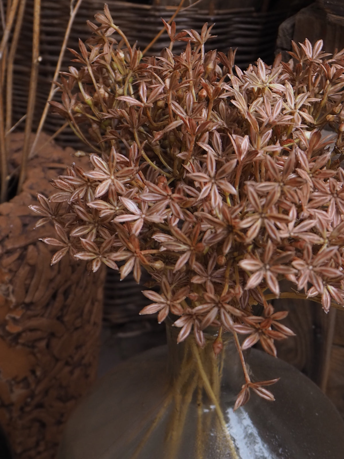 Kunstzweig Allium · Braun