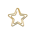 Geschenkklammer Stern – Gold | Klein
