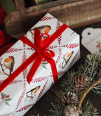 Frollein Lücke „Wintervogel“ Geschenkpapier - 1 Bogen - 50x70cm