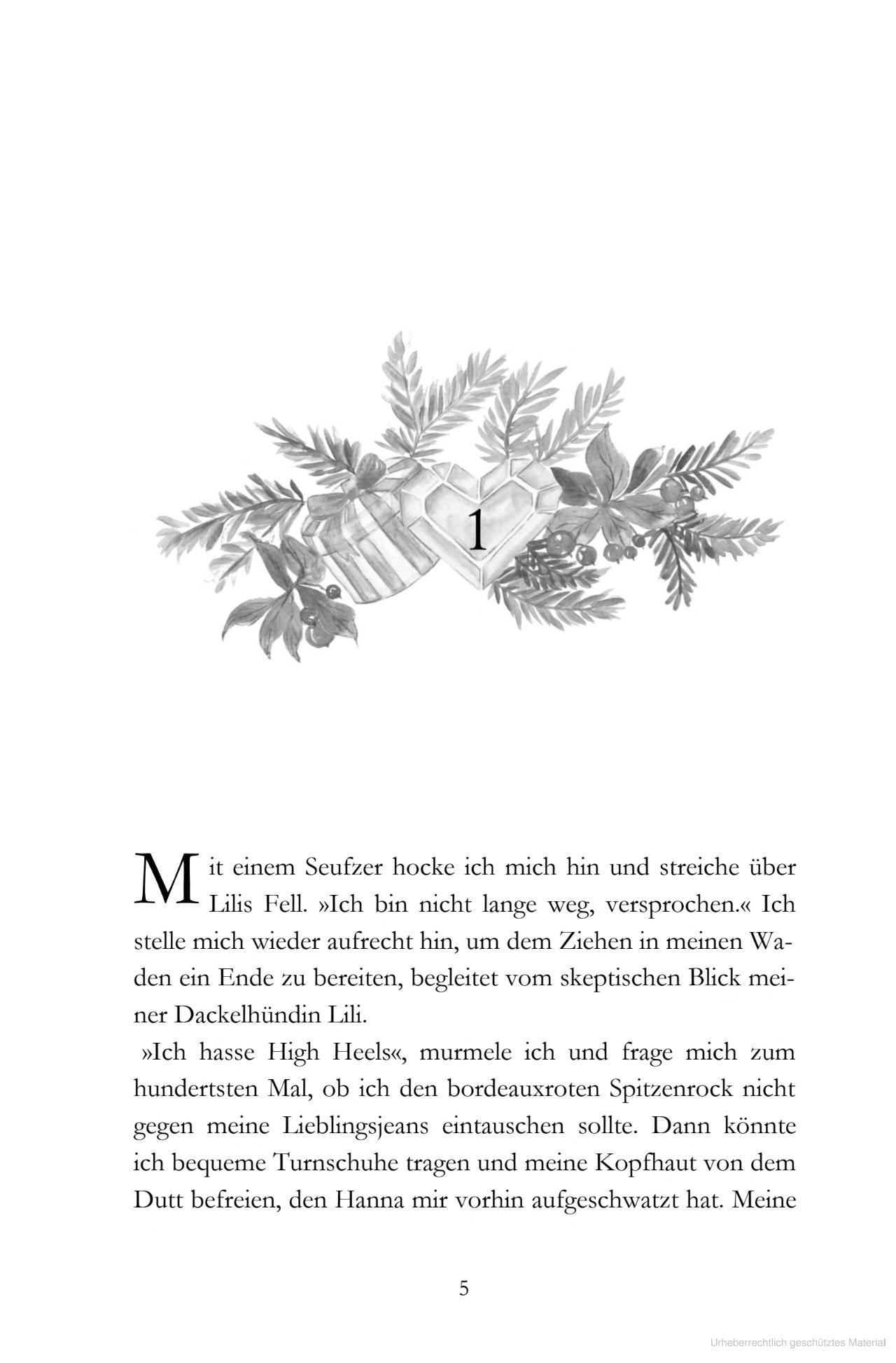 Buch "Dezemberfunkeln" - Dany Matthes