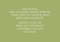 Postkarte "Ein Vogel vertraut seinen Flügeln…"