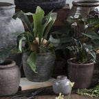Ib Laursen Vase Yrsa grau klein